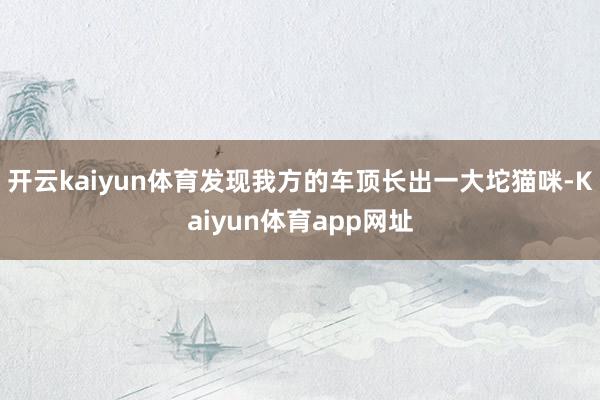 开云kaiyun体育发现我方的车顶长出一大坨猫咪-Kaiyun体育app网址