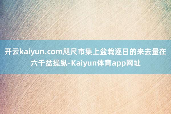 开云kaiyun.com咫尺市集上盆栽逐日的来去量在六千盆操纵-Kaiyun体育app网址