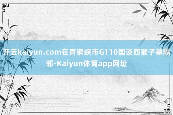 开云kaiyun.com在青铜峡市G110国谈西猴子墓隔邻-Kaiyun体育app网址