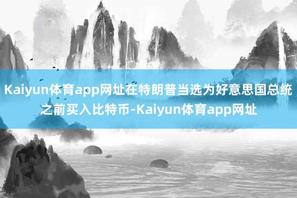 Kaiyun体育app网址在特朗普当选为好意思国总统之前买入比特币-Kaiyun体育app网址