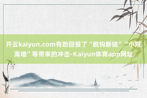 开云kaiyun.com有劲回报了“脱钩断链”“小院高墙”等带来的冲击-Kaiyun体育app网址