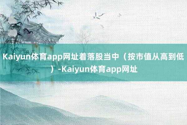 Kaiyun体育app网址　　着落股当中（按市值从高到低）-Kaiyun体育app网址